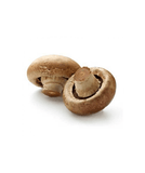 Brown Mushroom UAE