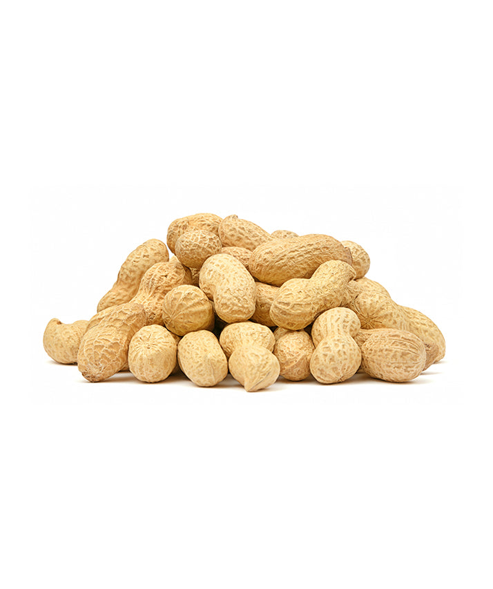 Peanut (shelled) India - فول سوداني مقشر