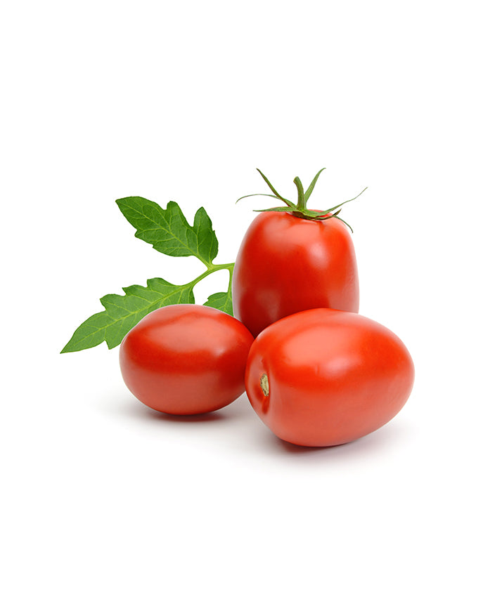 Plum Tomatoes - Netherland - طماطم طازة