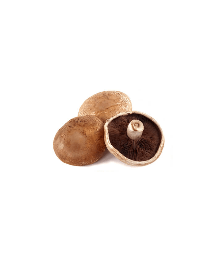 Portobello Mushroom Netherlands