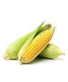 Corn Sweet - UAE - ذرة حلوه