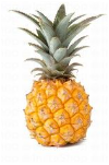 Baby Pineapple Philippines 1 Pc