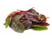 Baby Red Chard Italy 125 Gr