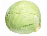 Cabbage White UAE 1 Pc