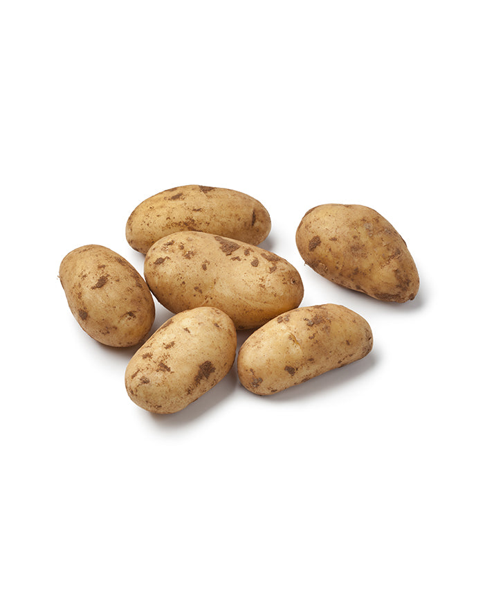 Potatoes Spunta - Lebanon - بطاطا بيضاوية الشكل