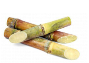 Sugarcane 500 Gr